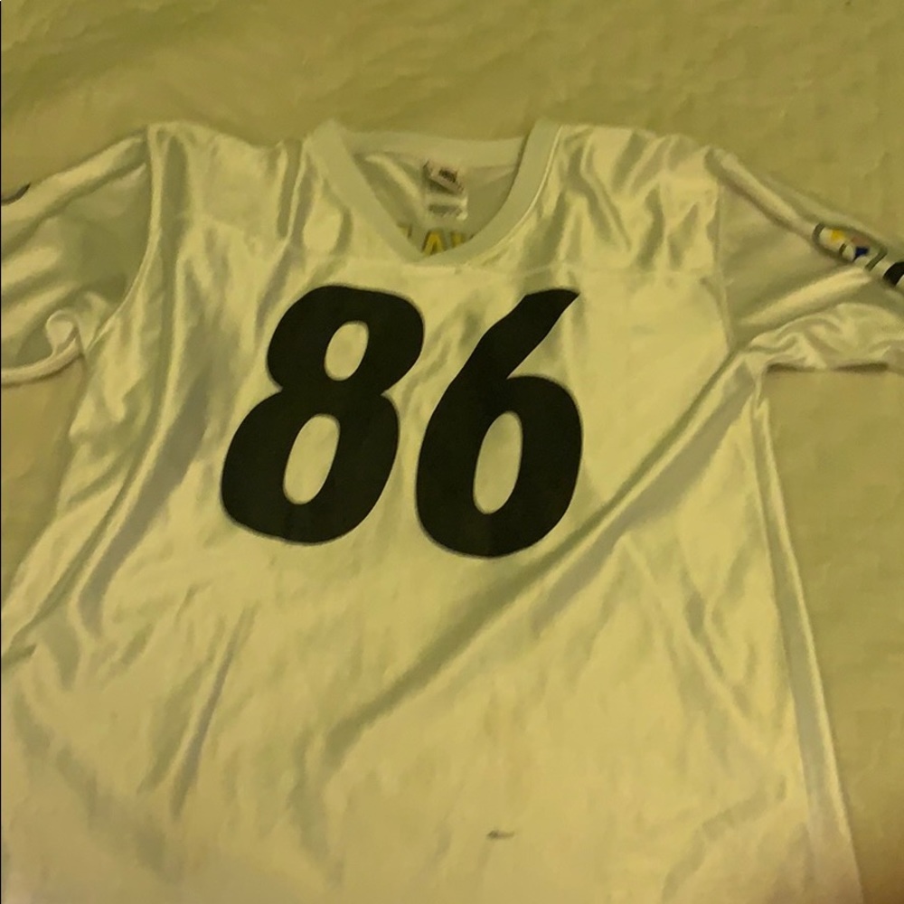 Hines Ward jersey